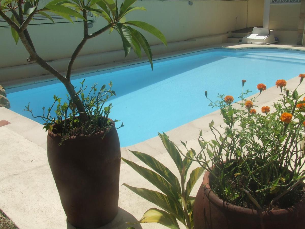 Reviva Residence 블루 베이 외부 사진